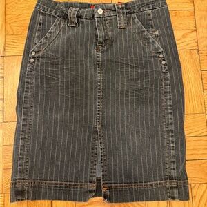 Denim Pinstripe Skirt Vintage